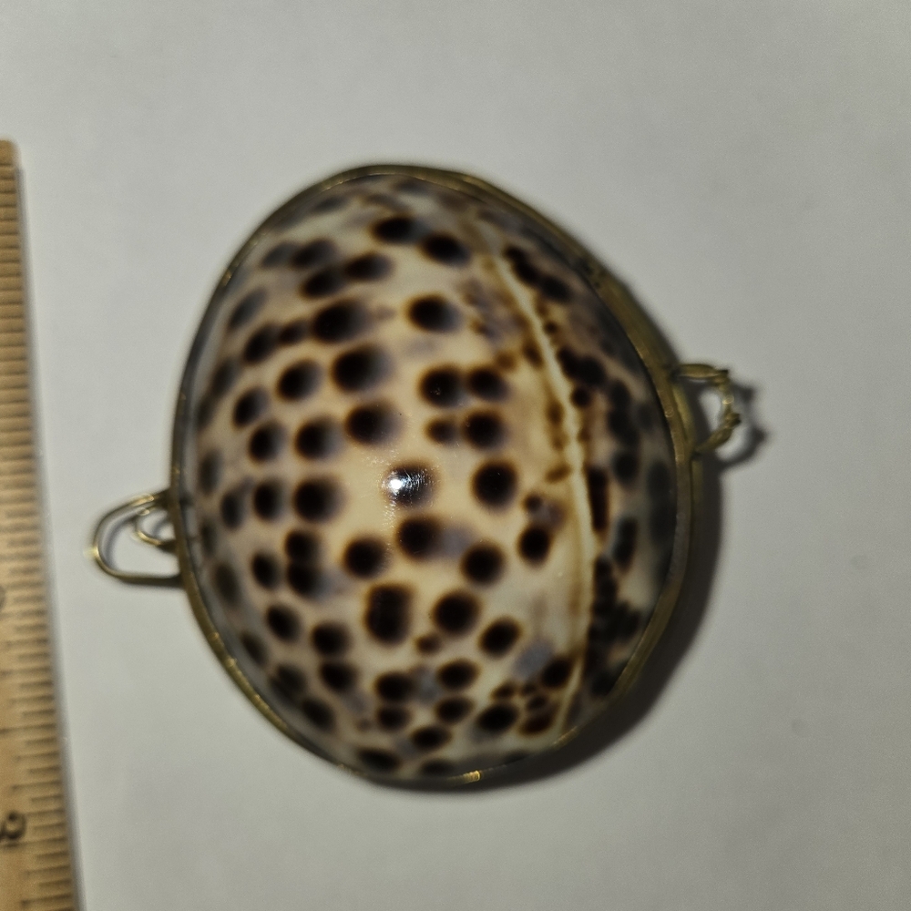 Tiger Cowrie Shell Trinket Box - Picture 3 of 7